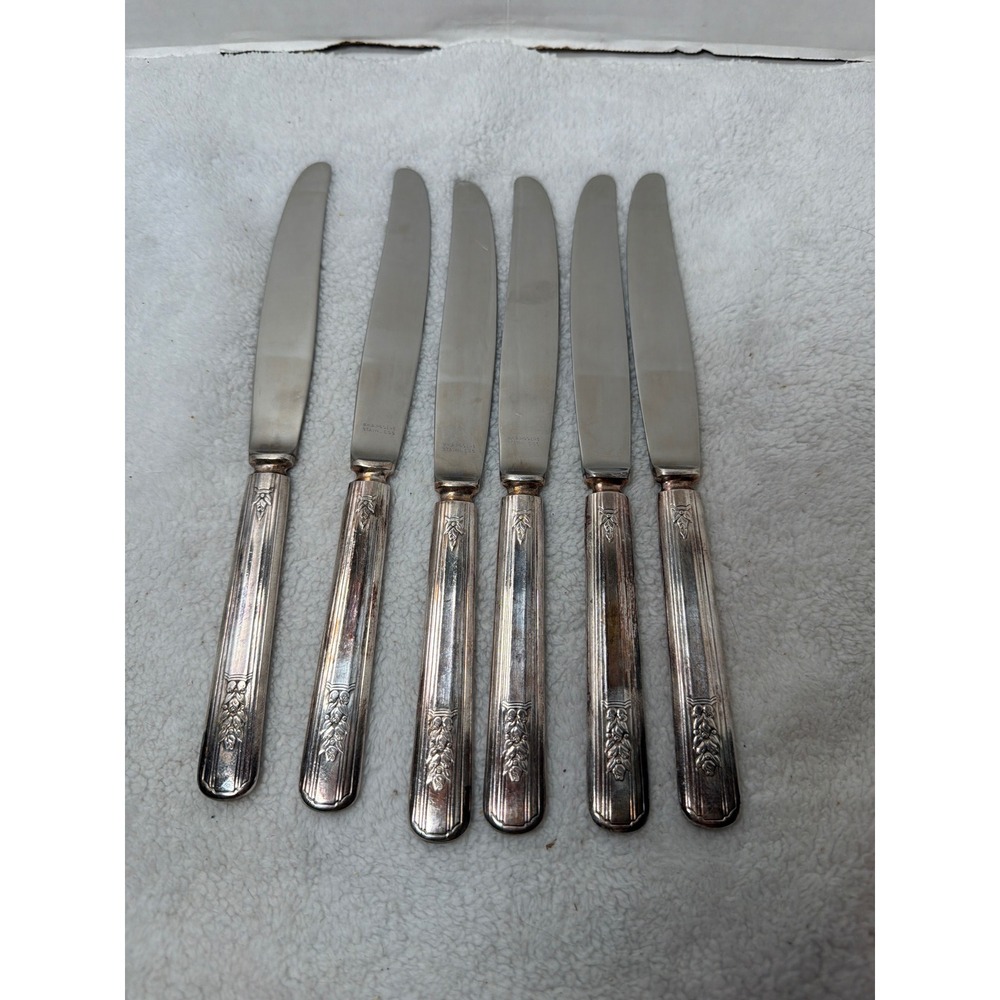 Oneida Ltd.‎  Wm A. Rogers ROSALIE  Silverplate Dinner Knives Vintage 1938